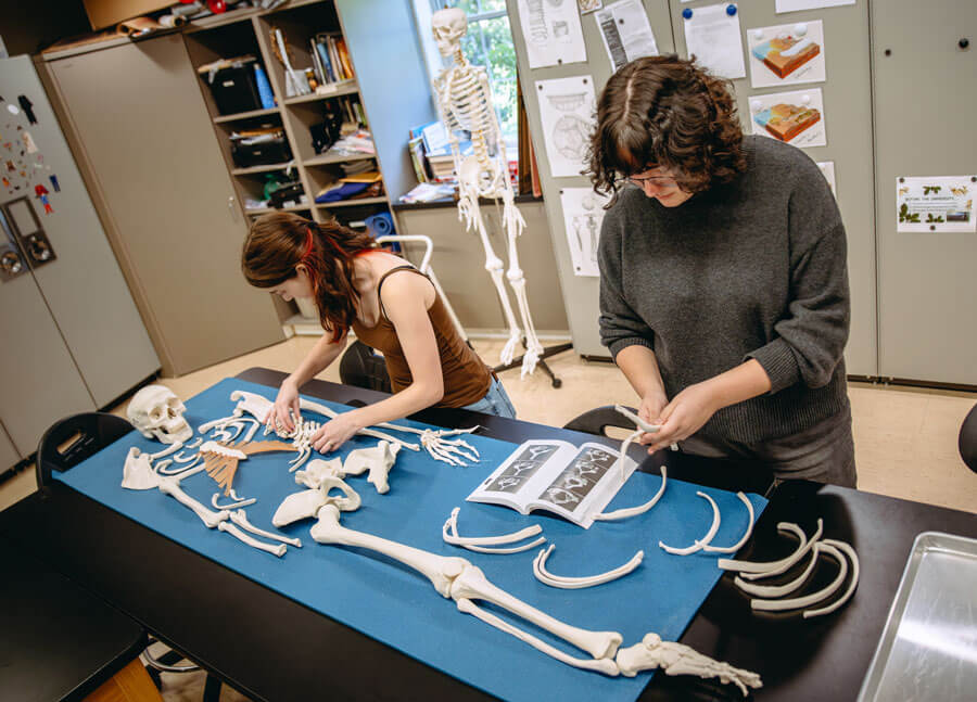 Students assemble a skeleton during a forensic science lab.