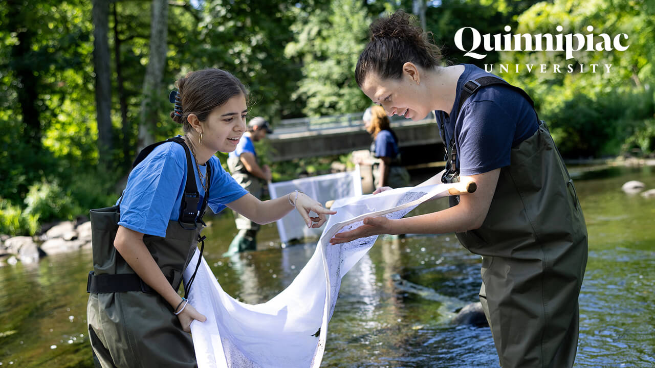 Students work to complete research in the College of Arts and Sciences