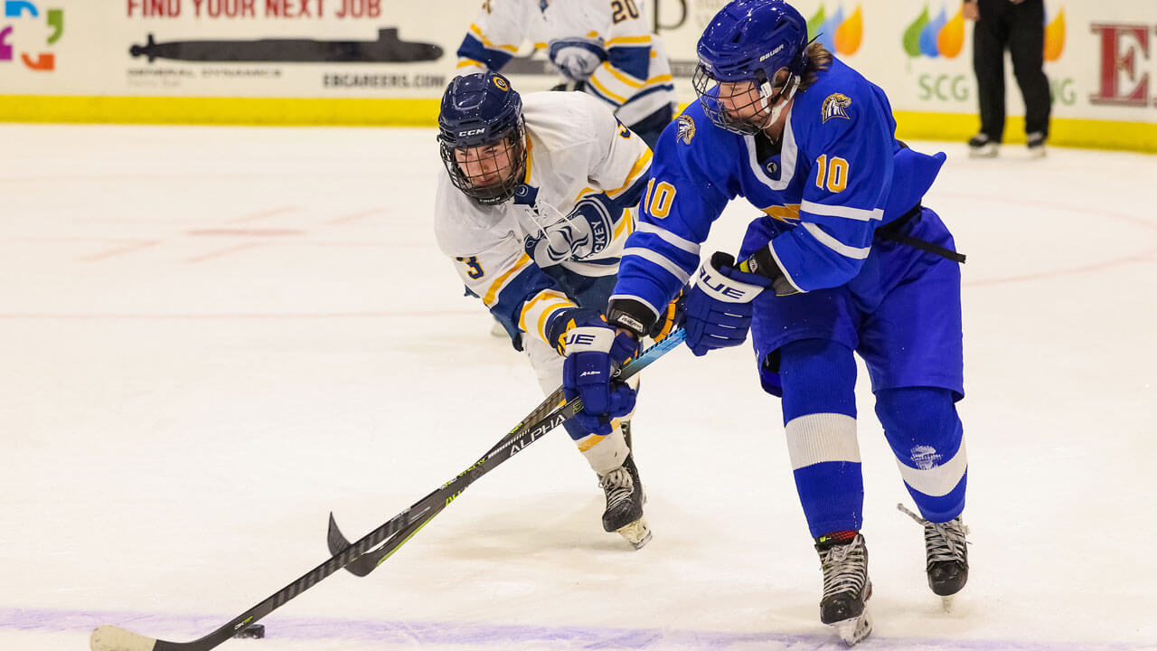 Two hockey players fighting over puck on the ice