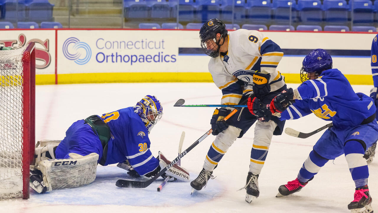 Goalie protecting puck from entering goal